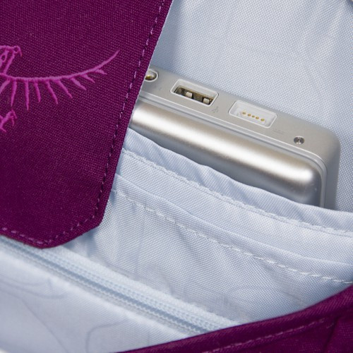 Рюкзак Osprey Flap Jill Pack Пурпурный