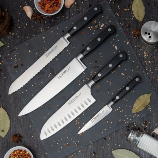 Набор из 4 кухонных ножей, Forge 3claveles OH0035, Испания