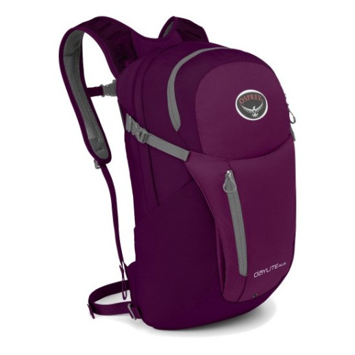 Рюкзак Osprey Daylite Plus 20 фиолетовый
