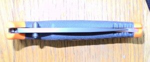 DSCN4321