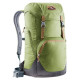 Рюкзак Deuter Walker 24 pine-graphite