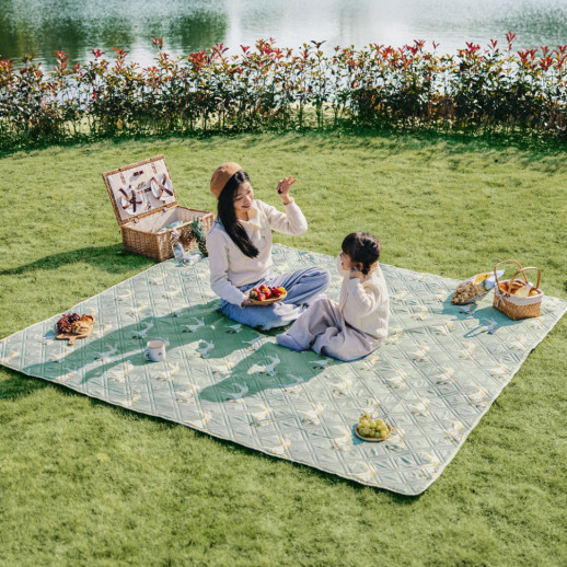 Килимок для пікніка Naturehike CNK2350WS010 210*240 см, блакитний із принтом