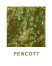 Рюкзак Tactical Extreme Tactic 36 Cord. Multicam