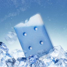 Акумулятор холоду гелевий IceBox, 23x17,5x2,5 см, 800 мл