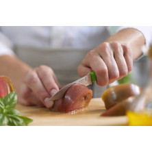 Ніж кухонний Opinel №313 Serrated, зелений