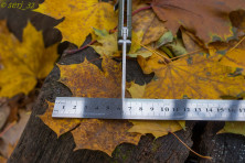 Ніж Ganzo g724m чорний