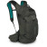 Рюкзак Osprey Raptor 14, Cedar Green