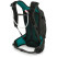 Рюкзак Osprey Raptor 14, Cedar Green