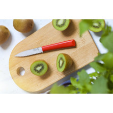 Ніж кухонний Opinel №313 Serrated, червоний