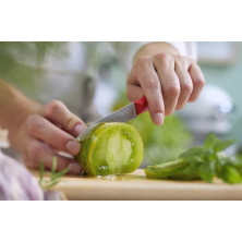 Ніж кухонний Opinel №313 Serrated, червоний