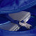 Рюкзак Osprey Daylite Plus 20 Синій