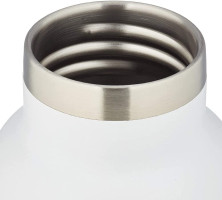 Термобутилка Salewa VALSURA INSUL BTL 0.65 L-сталева