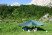 Тент Alexika Awning 300x320 cm