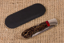 Ніж бак WBC опунція кактус з кривавою яшмою