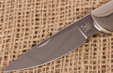 Ніж бак WBC опунція кактус з кривавою яшмою