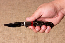 Ніж бак WBC опунція кактус з кривавою яшмою