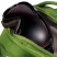 Рюкзак Osprey Kode 22 Black, S/M