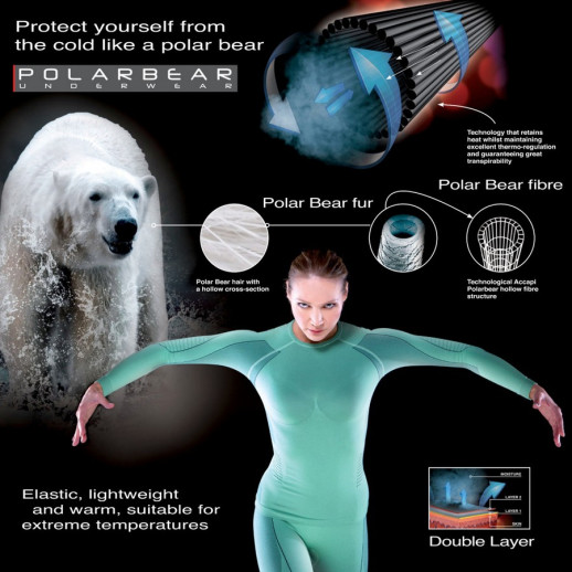 Футболка жіноча сорочка з довгим рукавом Accapi Polar Bear 975 фіолетовий /білий M-L