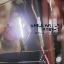 Ліхтар ручний Nebo Lil Larry 250 люмен (NB NEB-6373-G)