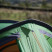 Намет Vango Helvellyn 200 Pamir Green