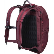 Рюкзак для ноутбука Victorinox Altmont Active/Burgundy Everyday Laptop 13 л (Vt602134)
