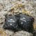 Чохол для рюкзака Naturehike CNK2450PJ010, L, чорний