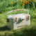 Туристичний холодильник на колесах Naturehike CNH22CJ10001, 45 л, бежевий