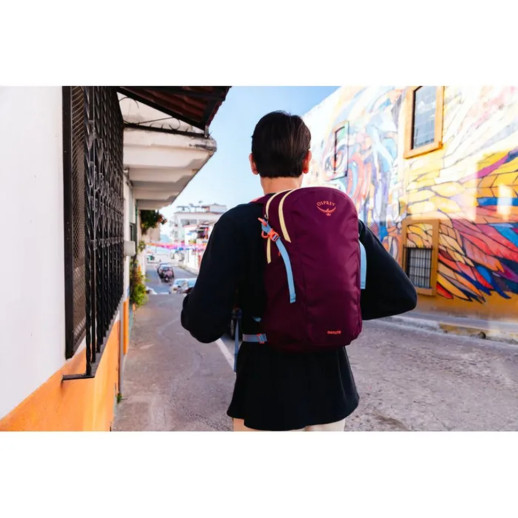 Рюкзак Osprey Daylite moody burgundy - O/S - темно-бордовий