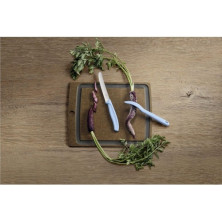 Кухонний набір Victorinox Ніж і Овочечистка Swiss Classic, Paring Knife set with peeler, 2 pieces, Блакитний