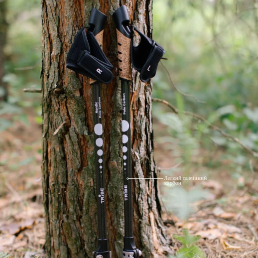 Палиці для скандинавської ходьби Tribe Nordic Pole Carbon T-ME-0023-white