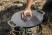 Гриль-вставка для планчі Petromax Insert for Atago Griddle Plate
