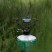 Пальник газовий Tribe Burner Classic T-HB-0016