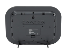 Годинники настінні Тechnoline, сріблясті /чорні (WS8005)