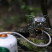 Пальник газовий Tribe Burner Remote T-HB-0018