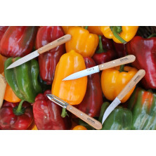 Набір ножів Opinel Les Essentiels Olive