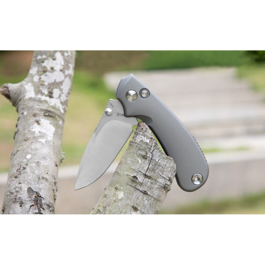 Ніж складаний кишеньковий Ruike P736-AK, (7.5 см) 14C28N / алюміній, сірий