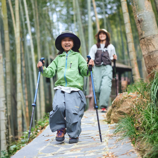 Трекінгова телескопічна палиця Naturehike CNK2550DS010 Sunlit Terk Base, 60-135 см, зелена