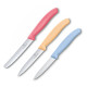 Набір кухонний Victorinox SwissClassic Paring Set (Vx67116.34L1)