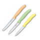 Набір кухонний Victorinox SwissClassic Paring Set (Vx67116.34L2)