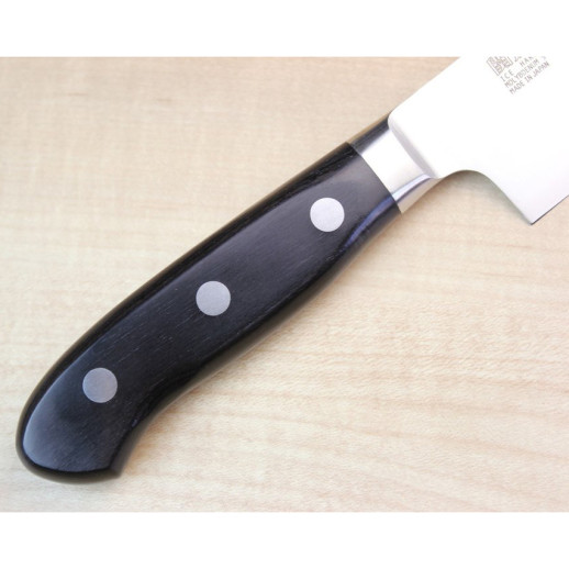 Ніж кухонний Kanetsugu Pro-M Chef's Knife 210mm (7005)
