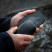 Грілки для рук Lifesystems Dual-Palm Rechargeable Hand Warmers