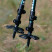 Трекінгові палиці Tribe Trekking Pole Alu T-ME-0026-ocean