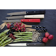 Ніж кухонний Opinel Bon Appetit чорний
