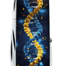 Складаний ніж Victorinox HUNTSMAN UKRAINE ДНК Українця 1.3713.3.T3270pw