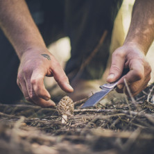 Ніж складний Gerber Asada Folder Micarta, Зелений
