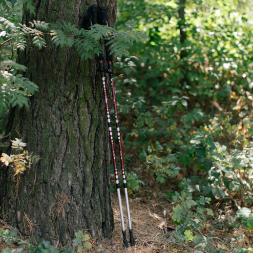Трекінгові палиці Tribe Z-Pole Alu T-ME-0024-plum