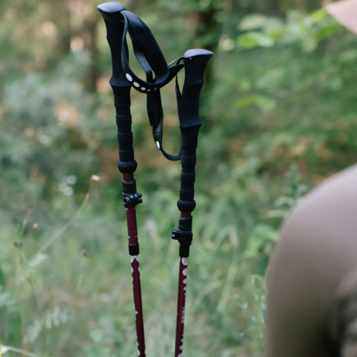 Трекінгові палиці Tribe Z-Pole Alu T-ME-0024-plum