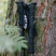 Трекінгові палиці Tribe Z-Pole Carbon T-ME-0025-plum