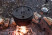 Казан-жарівня чавунна Petromax Dutch Oven ft18 плоске дно 16,1 л