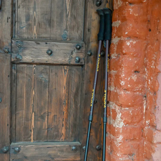 Палиці трекінгові Vipole Trango (S25 15)